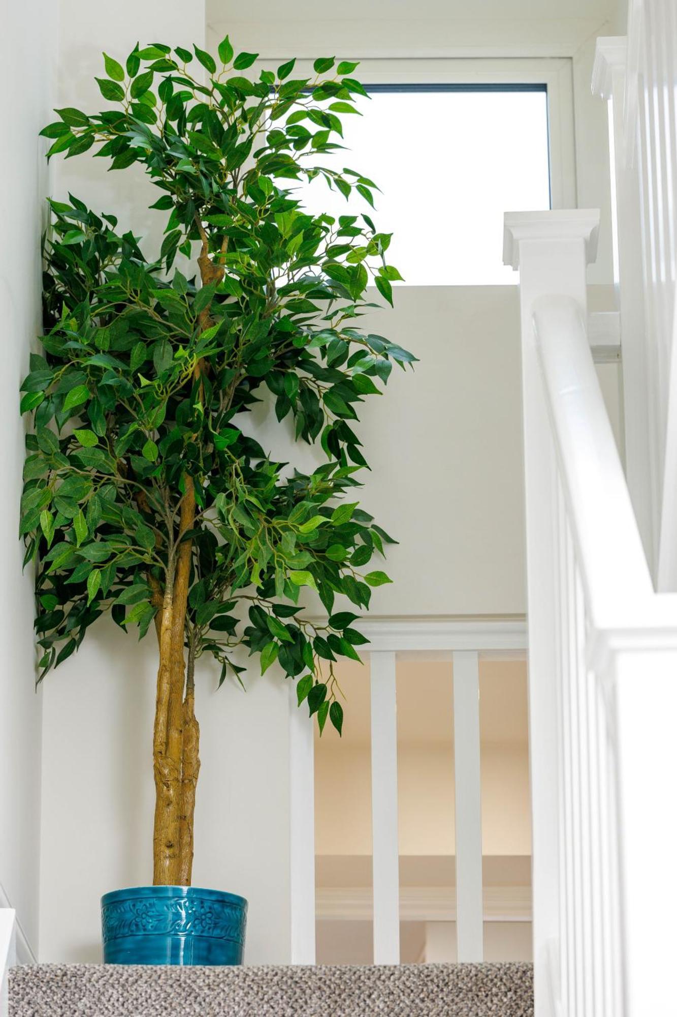Sandbury Town House Килкени Екстериор снимка